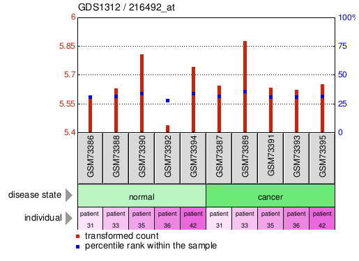 Gene Expression Profile