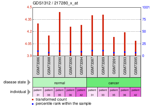 Gene Expression Profile