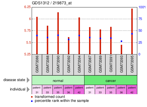 Gene Expression Profile