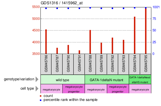 Gene Expression Profile