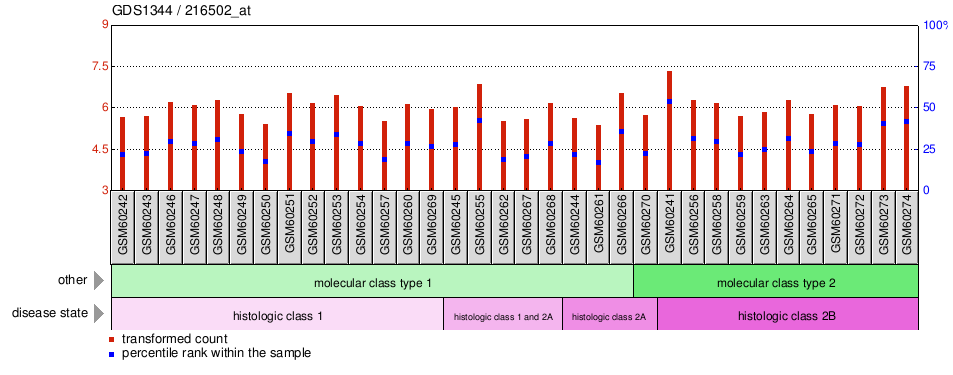 Gene Expression Profile