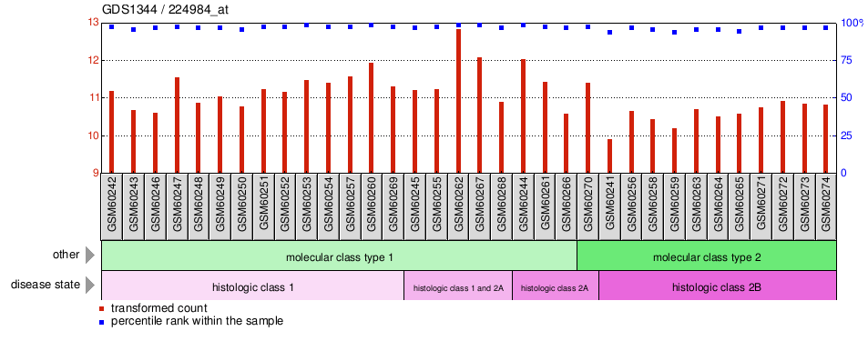 Gene Expression Profile