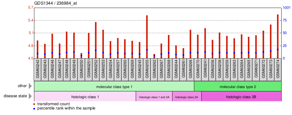 Gene Expression Profile