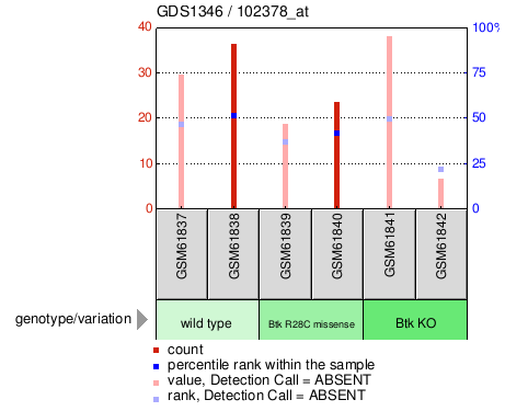 Gene Expression Profile