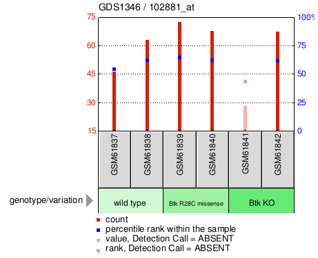 Gene Expression Profile