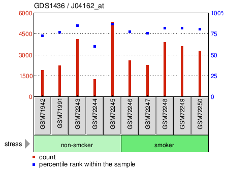 Gene Expression Profile