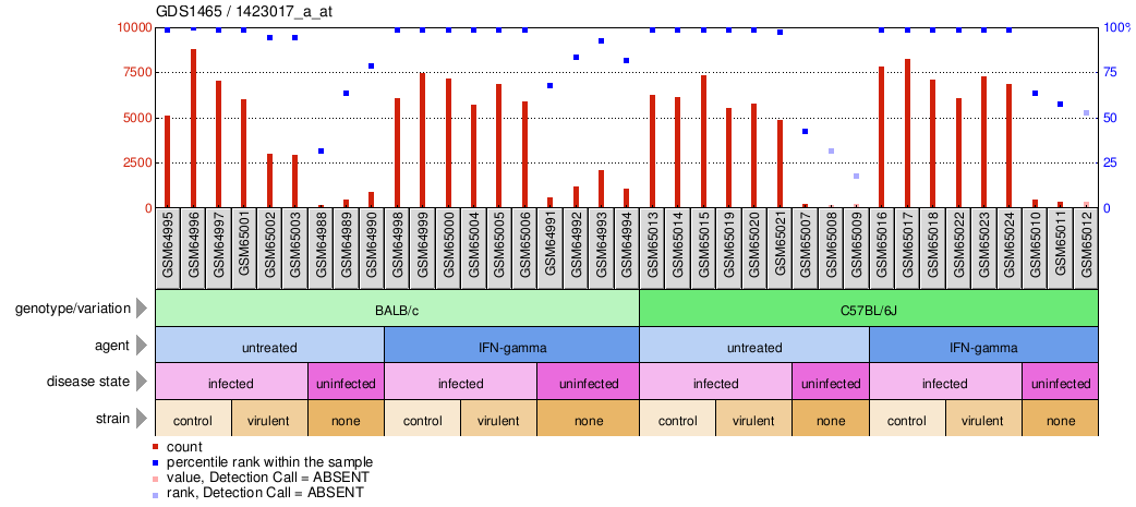 Gene Expression Profile