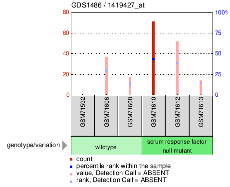 Gene Expression Profile