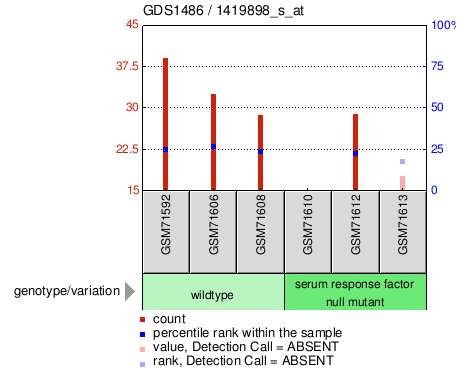 Gene Expression Profile