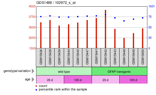 Gene Expression Profile