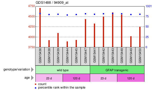 Gene Expression Profile