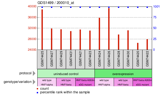 Gene Expression Profile