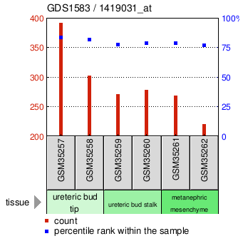 Gene Expression Profile