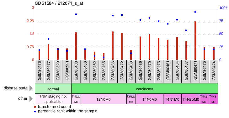 Gene Expression Profile