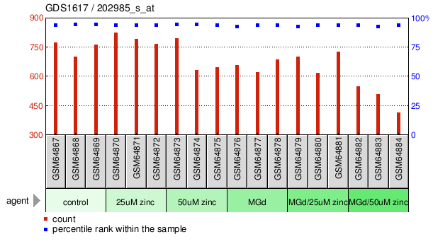 Gene Expression Profile