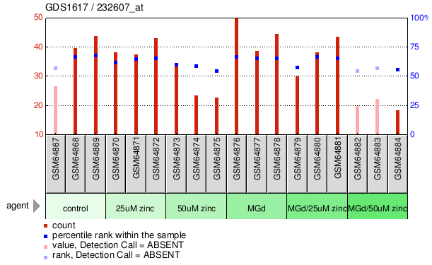 Gene Expression Profile