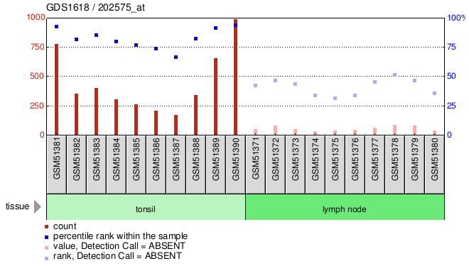 Gene Expression Profile