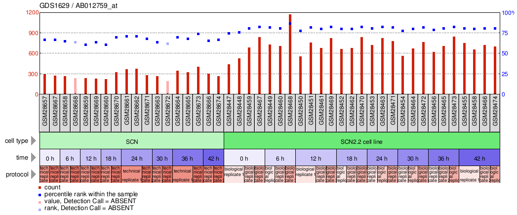 Gene Expression Profile