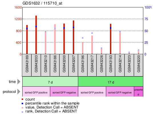 Gene Expression Profile