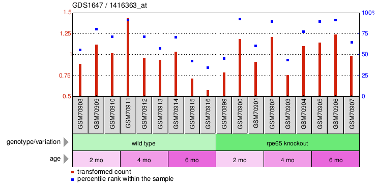 Gene Expression Profile