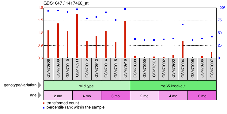 Gene Expression Profile