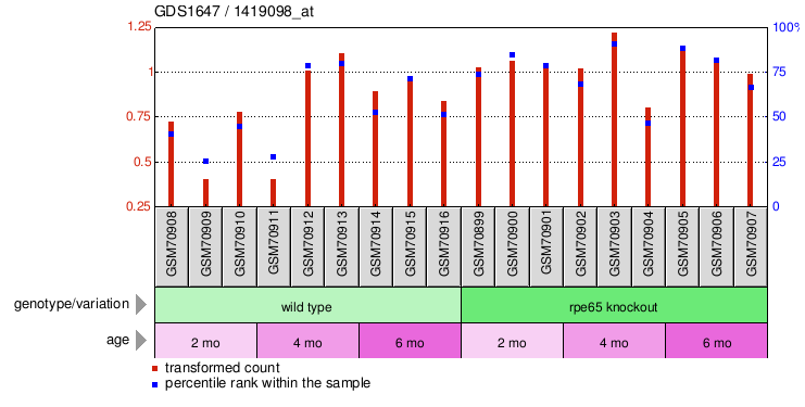 Gene Expression Profile