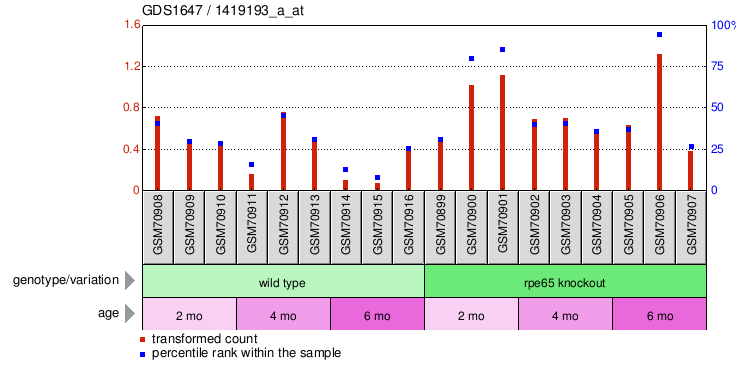 Gene Expression Profile