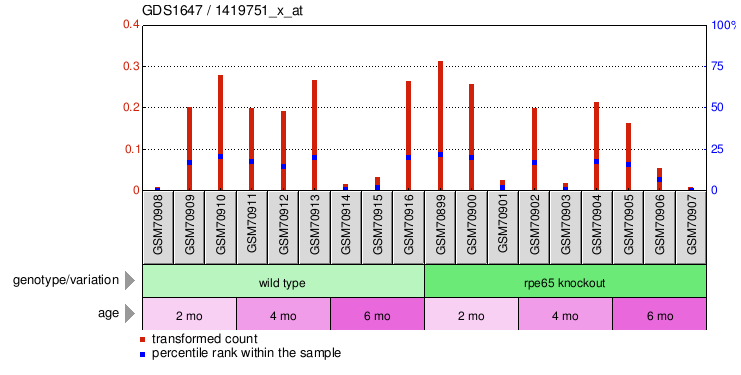 Gene Expression Profile