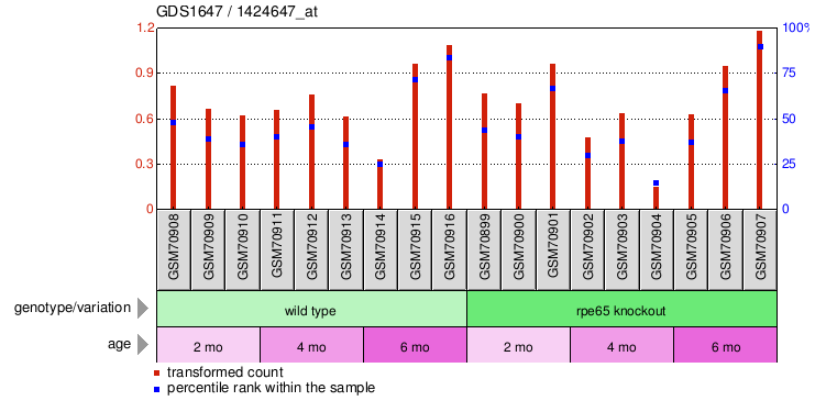 Gene Expression Profile