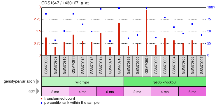 Gene Expression Profile