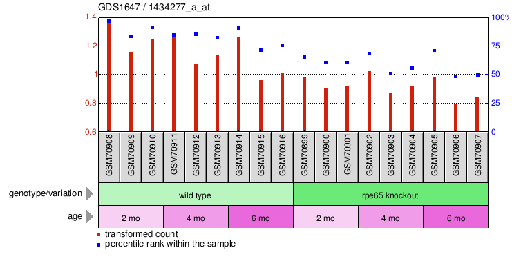 Gene Expression Profile