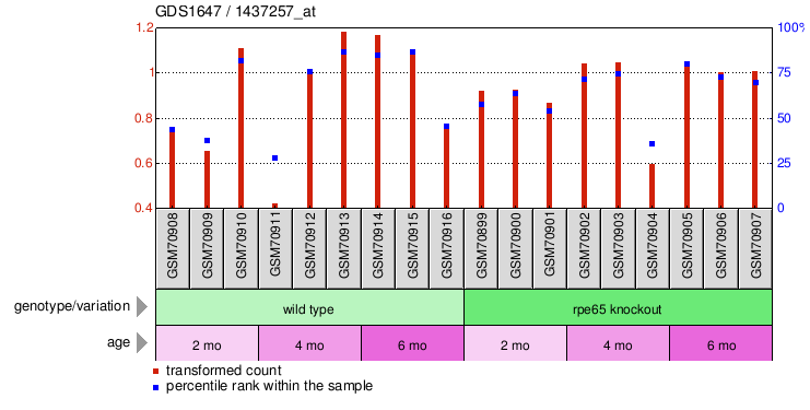 Gene Expression Profile