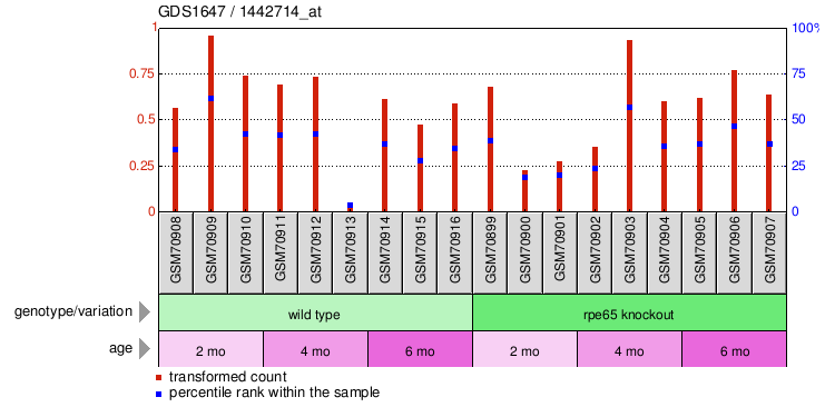 Gene Expression Profile