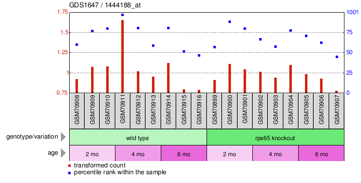 Gene Expression Profile