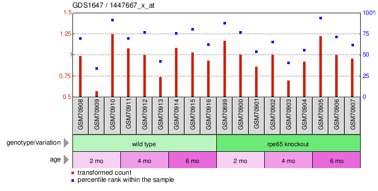 Gene Expression Profile