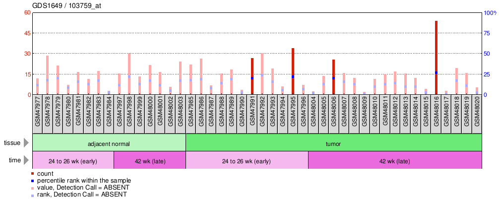 Gene Expression Profile