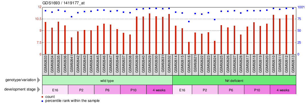 Gene Expression Profile