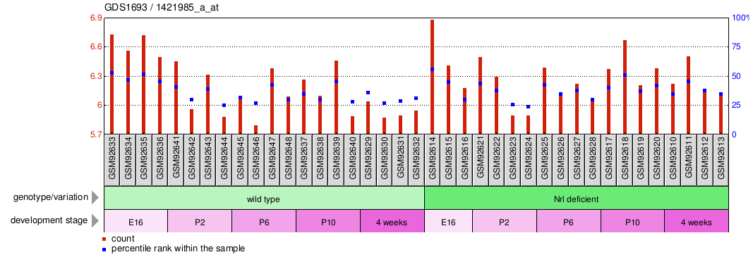 Gene Expression Profile