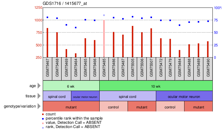 Gene Expression Profile