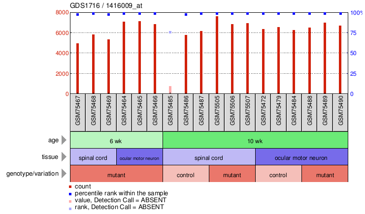 Gene Expression Profile