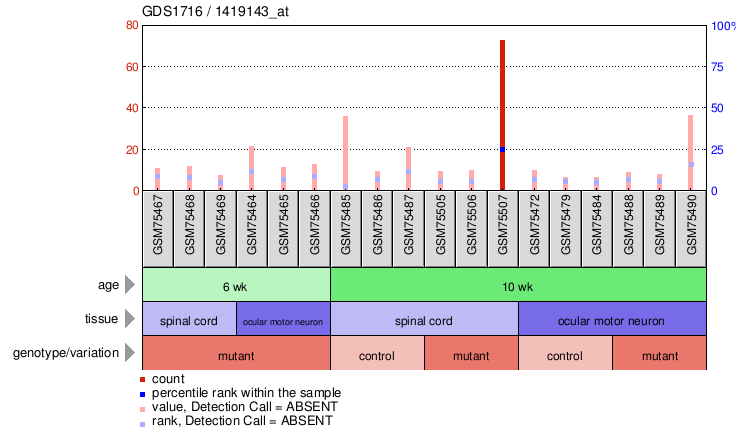 Gene Expression Profile