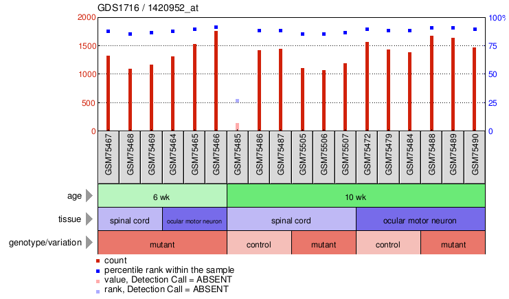 Gene Expression Profile