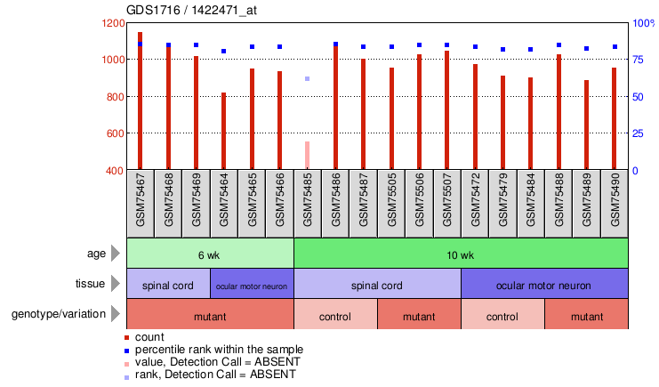 Gene Expression Profile