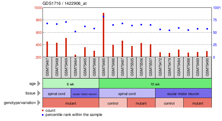 Gene Expression Profile