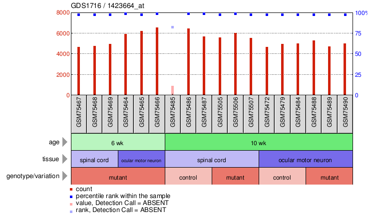 Gene Expression Profile