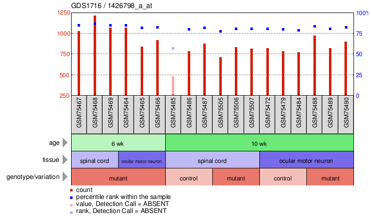 Gene Expression Profile