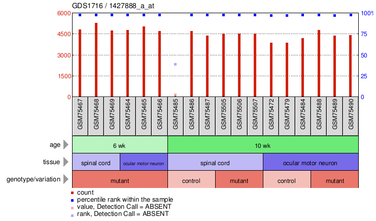 Gene Expression Profile