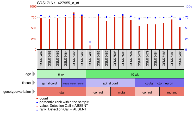 Gene Expression Profile