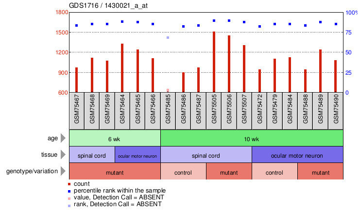 Gene Expression Profile