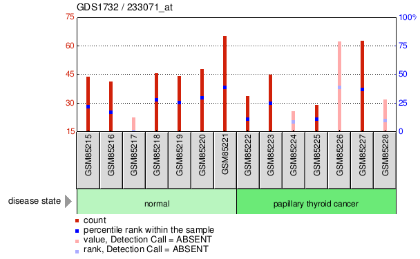 Gene Expression Profile